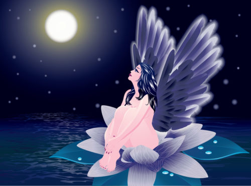 満月の浄化　妖精　イメージ